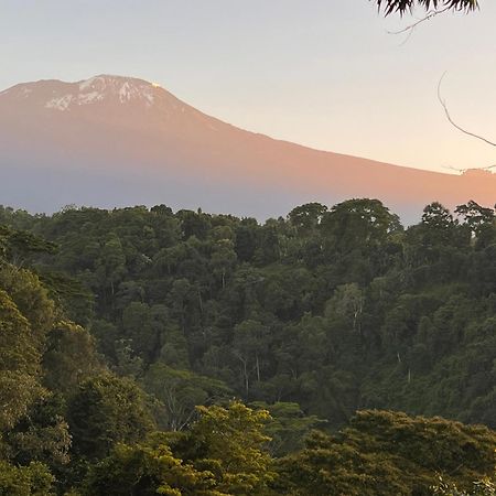 Kaliwa Lodge Moshi Bagian luar foto