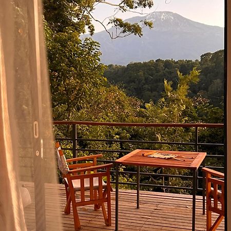 Kaliwa Lodge Moshi Bagian luar foto