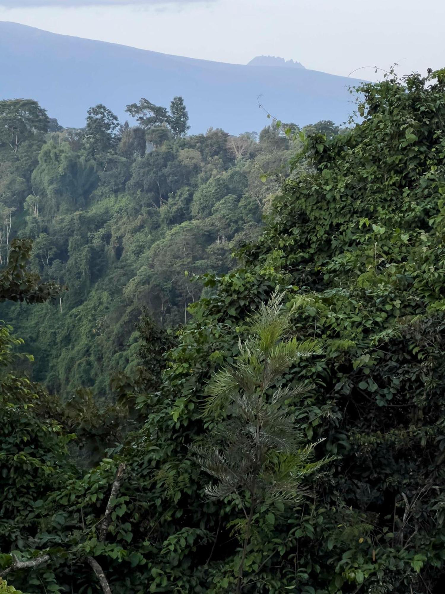Kaliwa Lodge Moshi Bagian luar foto