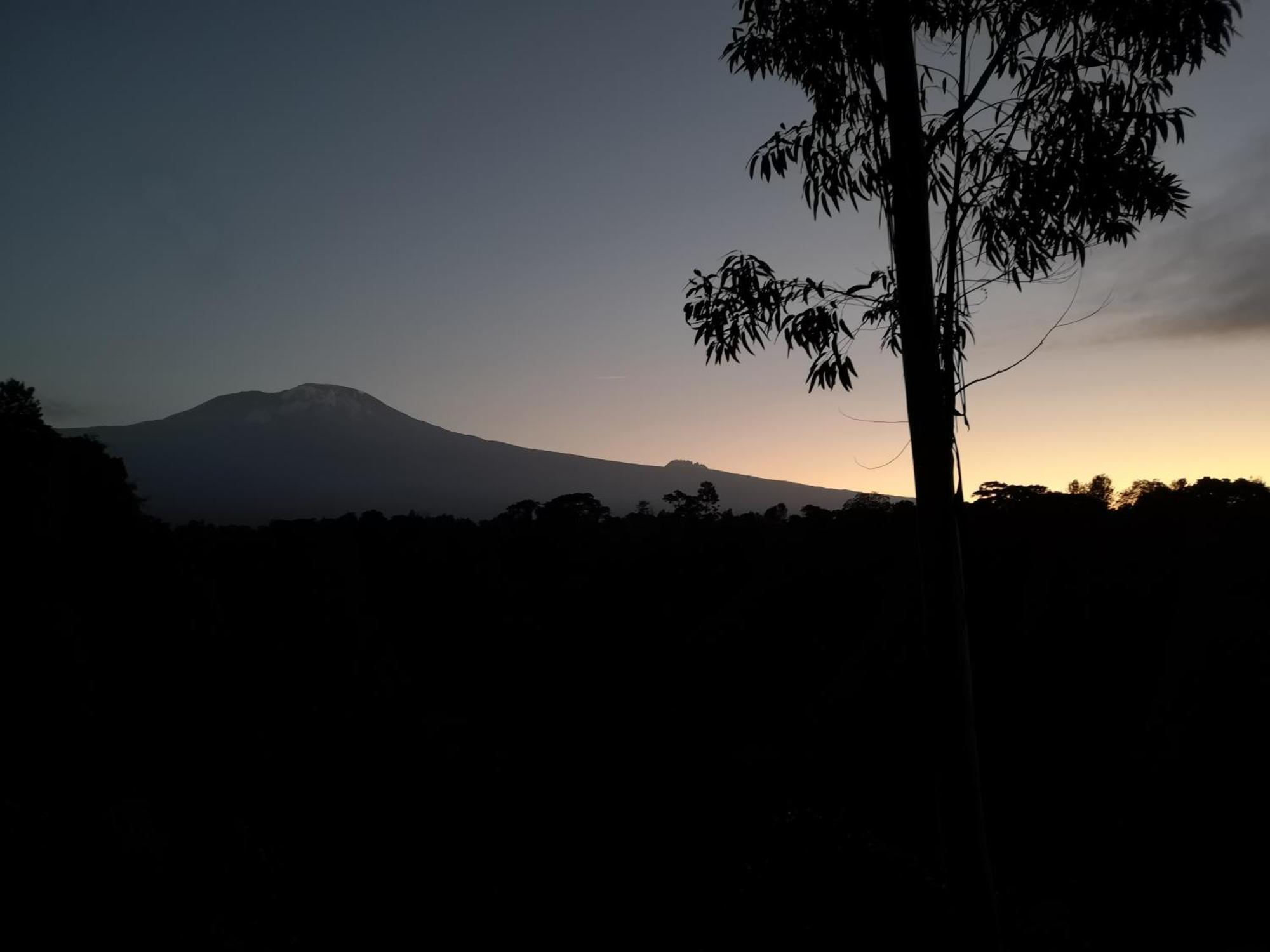 Kaliwa Lodge Moshi Bagian luar foto