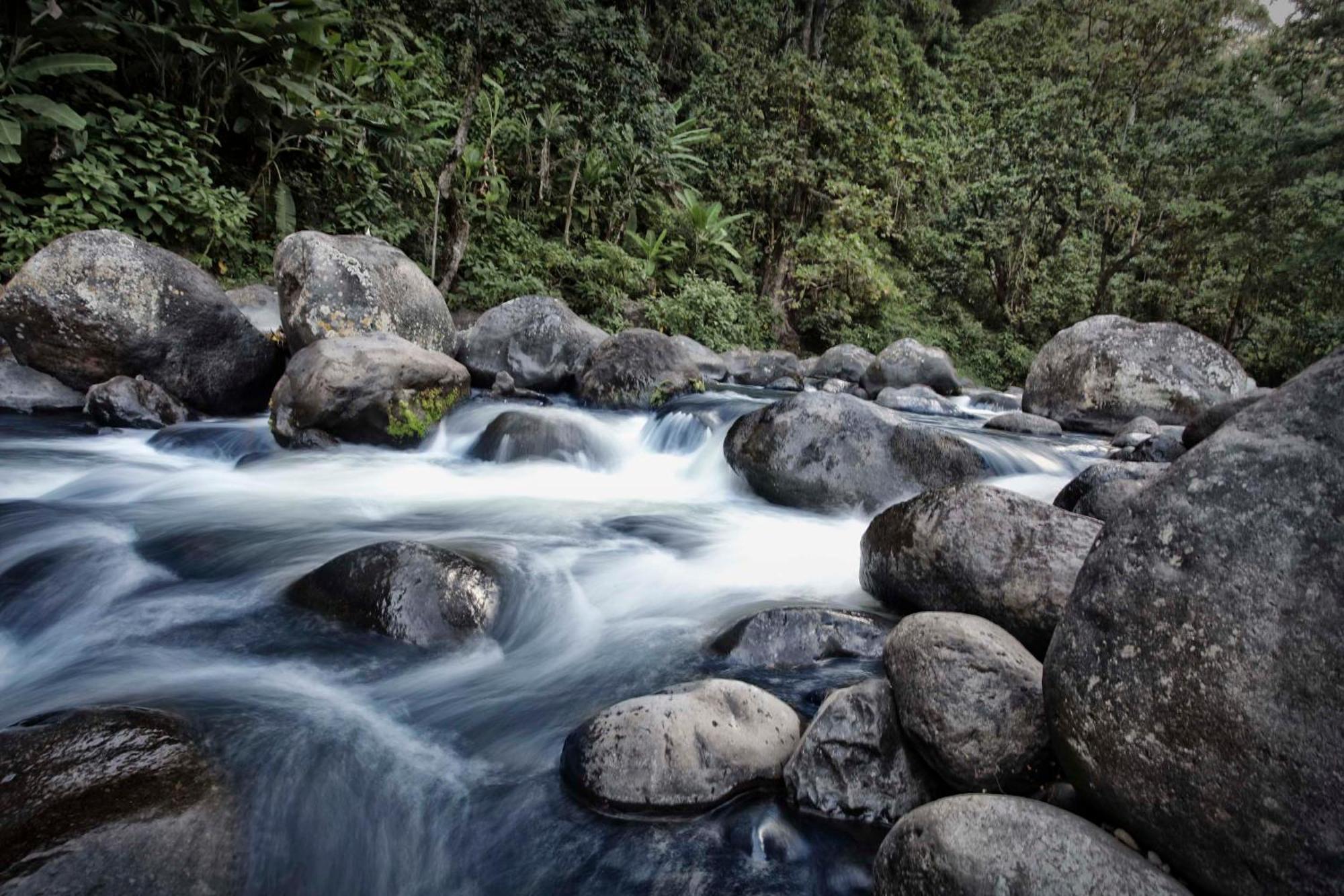 Kaliwa Lodge Moshi Bagian luar foto