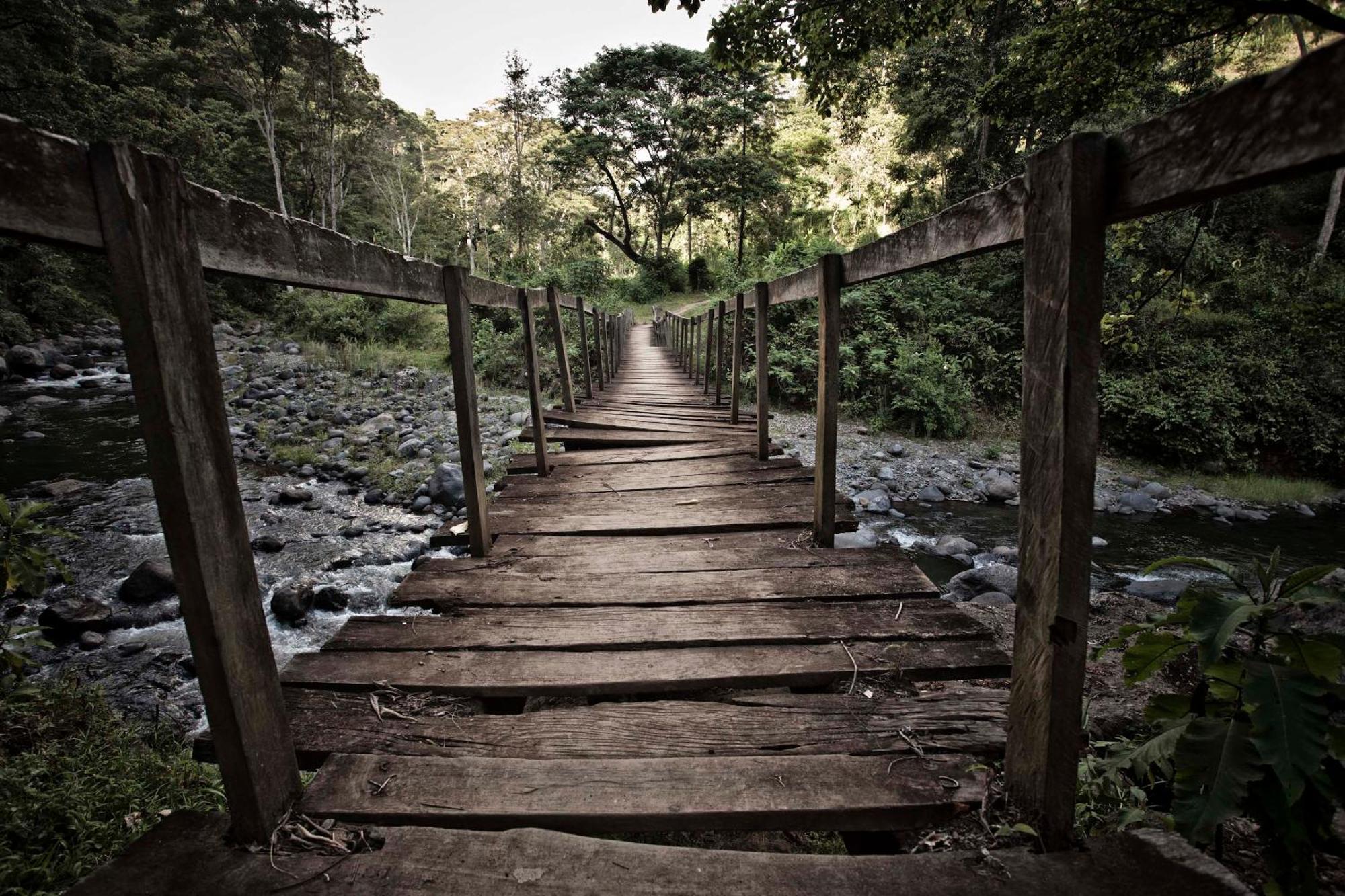 Kaliwa Lodge Moshi Bagian luar foto