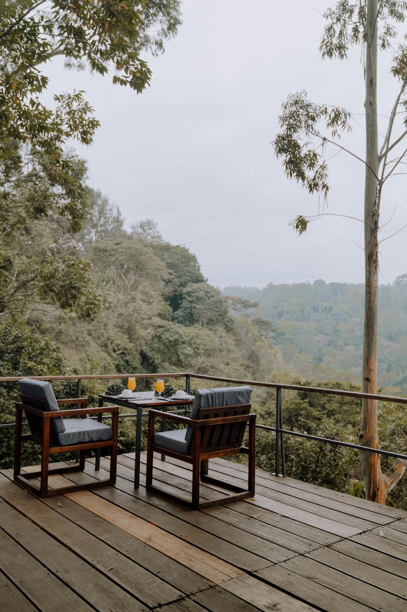Kaliwa Lodge Moshi Bagian luar foto