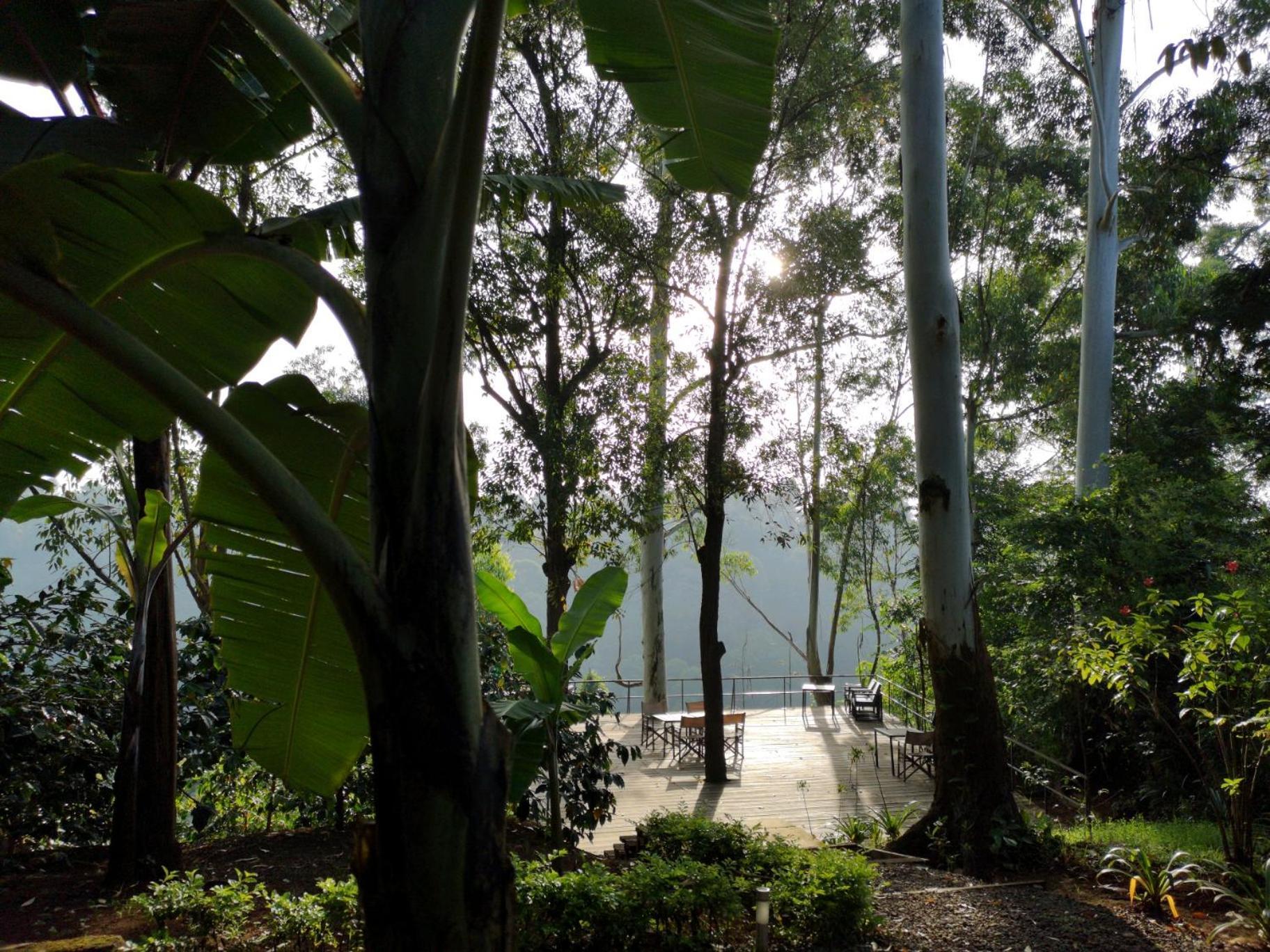 Kaliwa Lodge Moshi Bagian luar foto