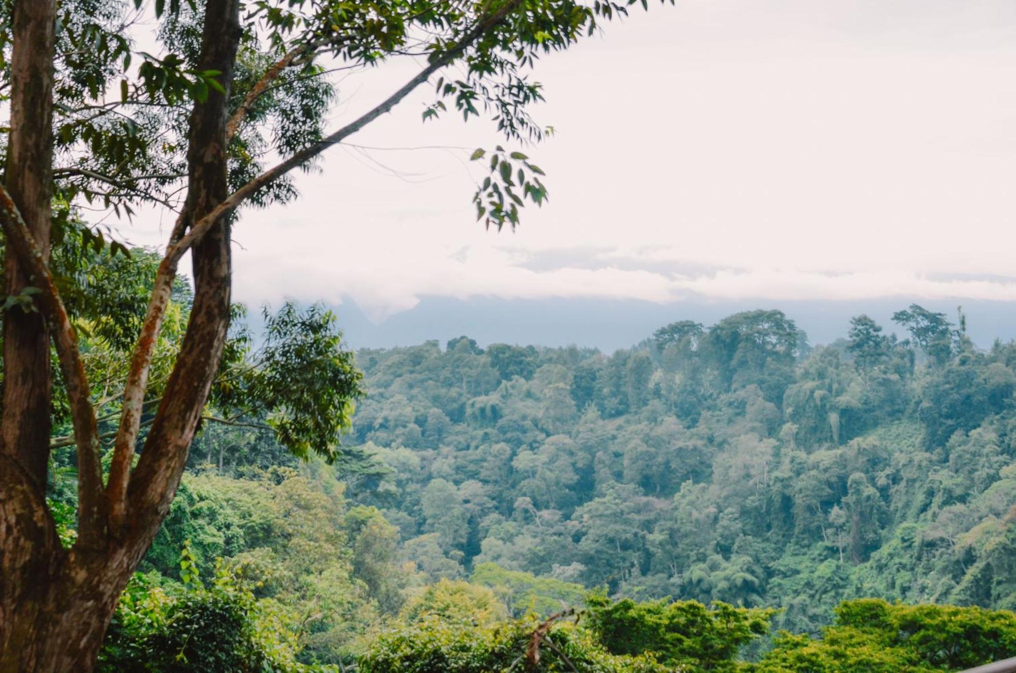 Kaliwa Lodge Moshi Bagian luar foto