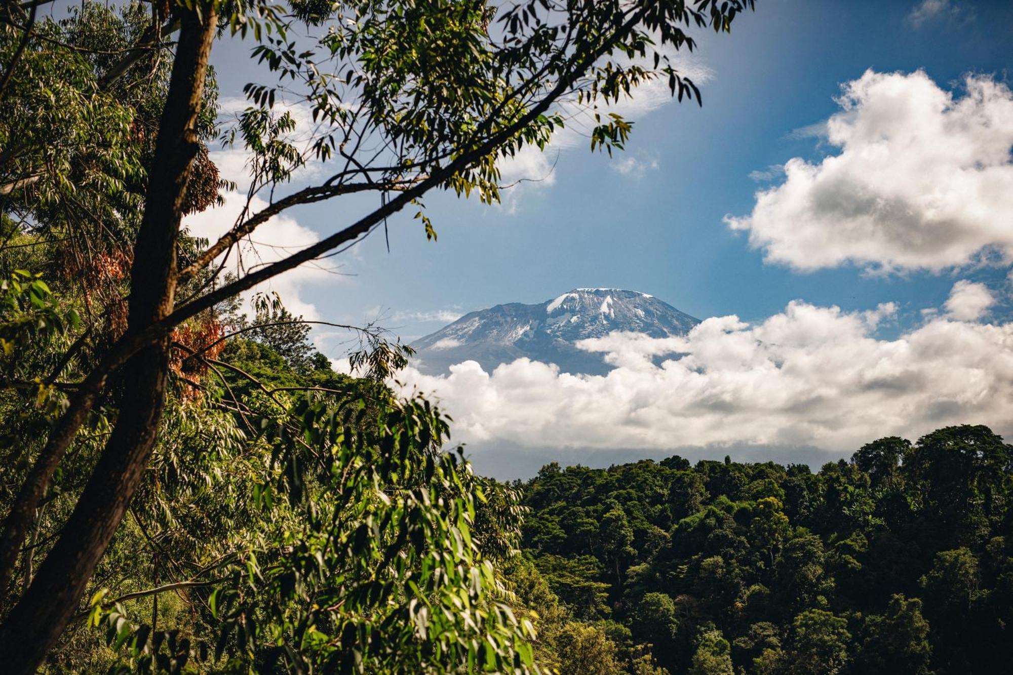 Kaliwa Lodge Moshi Bagian luar foto
