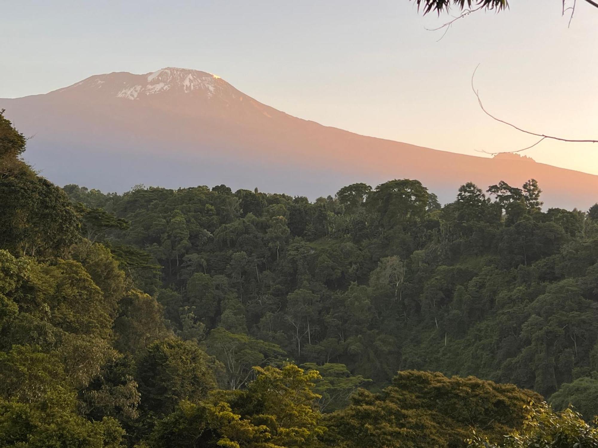 Kaliwa Lodge Moshi Bagian luar foto