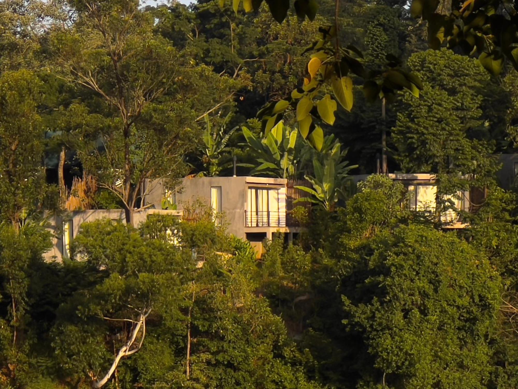 Kaliwa Lodge Moshi Bagian luar foto