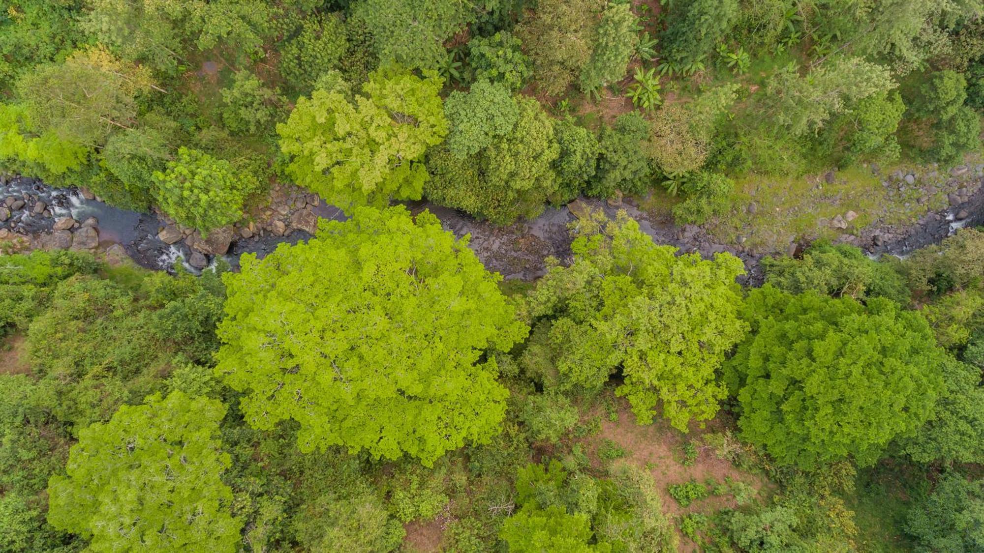 Kaliwa Lodge Moshi Bagian luar foto